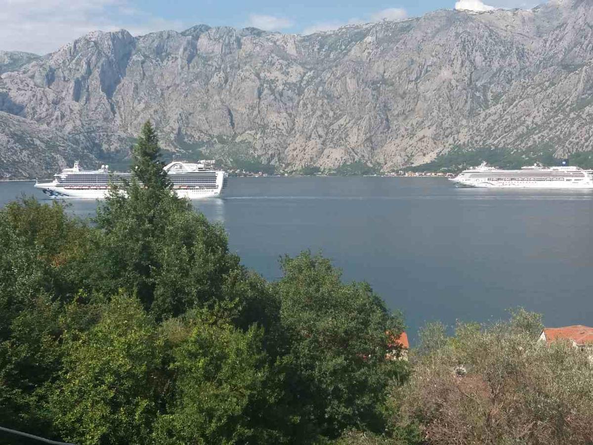 Apartmani Prcanj Kotor Buitenkant foto